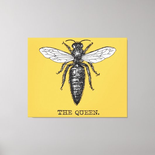 Queen Bee Bug Insect Antike Illustration Leinwanddruck (Vorderseite)