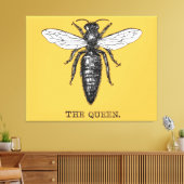 Queen Bee Bug Insect Antike Illustration Leinwanddruck (Insitu (Wohnzimmer))
