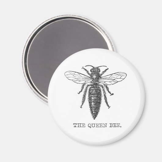 Queen Bee Bug Insect Antike Illustration Magnet (Vorderseite/Rückseite)