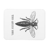 Queen Bee Bug Insect Antike Illustration Magnet (Horizontal)