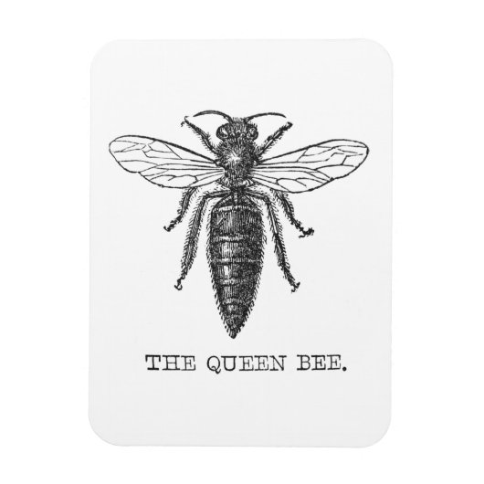 Queen Bee Bug Insect Antike Illustration Magnet (Vertikal)