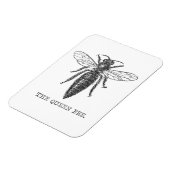 Queen Bee Bug Insect Antike Illustration Magnet (Linke Seite)