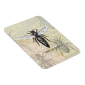 Queen Bee Bug Insect Antike Illustration Magnet (Rechte Seite)