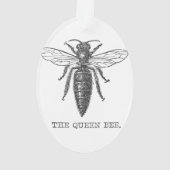 Queen Bee Bug Insect Antike Illustration Ornament (Rückseite)
