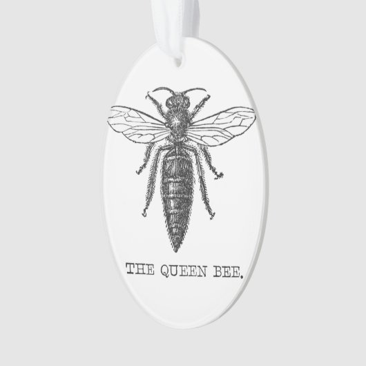 Queen Bee Bug Insect Antike Illustration Ornament (Vorderseite)