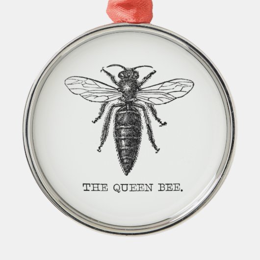 Queen Bee Bug Insect Antike Illustration Ornament Aus Metall (Vorne)
