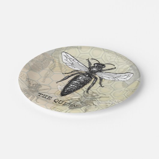 Queen Bee Bug Insect Antike Illustration Pappteller (Schrägansicht)