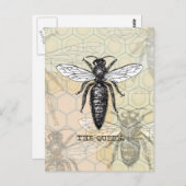 Queen Bee Bug Insect Antike Illustration Postkarte (Vorne/Hinten)