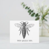 Queen Bee Bug Insect Antike Illustration Postkarte (Stehend Vorderseite)