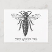 Queen Bee Bug Insect Antike Illustration Postkarte (Vorderseite)