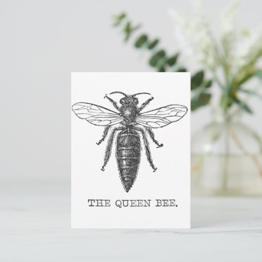 Queen Bee Bug Insect Antike Illustration Postkarte (Stehend Vorderseite)