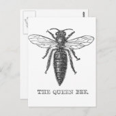 Queen Bee Bug Insect Antike Illustration Postkarte (Vorne/Hinten)