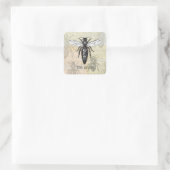 Queen Bee Bug Insect Antike Illustration Quadratischer Aufkleber (Tasche)