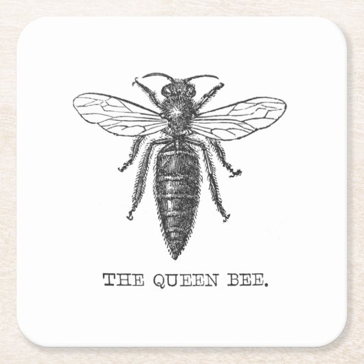 Queen Bee Bug Insect Antike Illustration Rechteckiger Pappuntersetzer (Vorderseite)