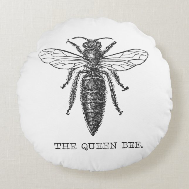 Queen Bee Bug Insect Antike Illustration Rundes Kissen (Vorderseite)