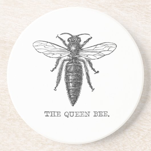 Queen Bee Bug Insect Antike Illustration Sandstein Untersetzer (Vorne)