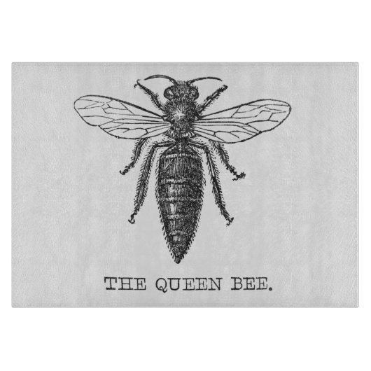 Queen Bee Bug Insect Antike Illustration Schneidebrett (Vorderseite)