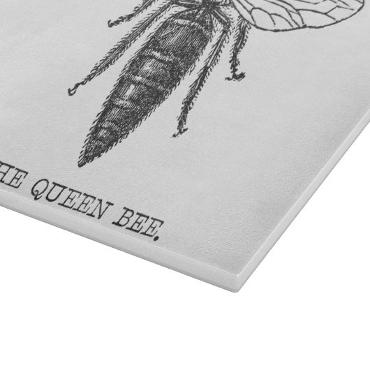 Queen Bee Bug Insect Antike Illustration Schneidebrett (Ecke)