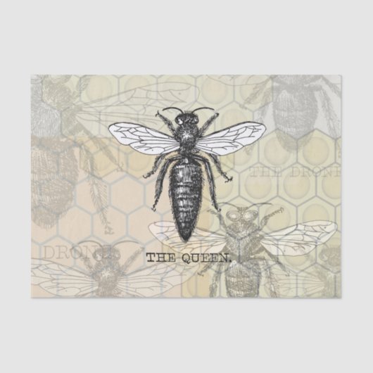 Queen Bee Bug Insect Antike Illustration Seidenpapier (Vorderseite)