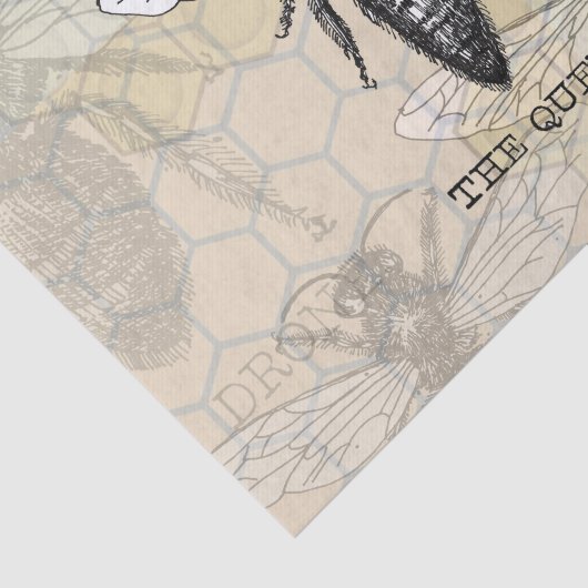 Queen Bee Bug Insect Antike Illustration Seidenpapier (Ausschnitt)