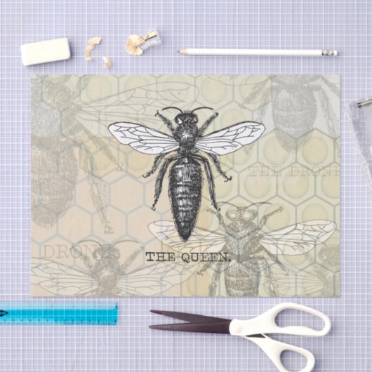 Queen Bee Bug Insect Antike Illustration Seidenpapier (Handwerk)