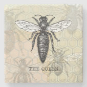 Queen Bee Bug Insect Antike Illustration Steinuntersetzer (Vorderseite)