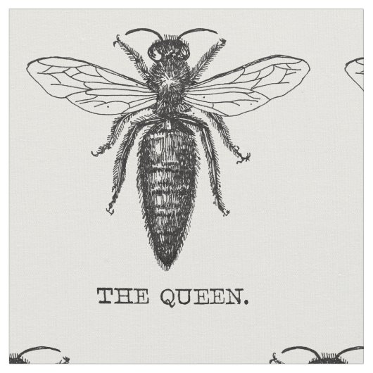 Queen Bee Bug Insect Antike Illustration Stoff (Nahaufnahme)