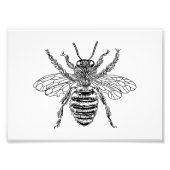 Queen Bee Fotodruck (Vorne)