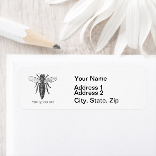 Queen Bee Illustration Bug Insect (Insitu)