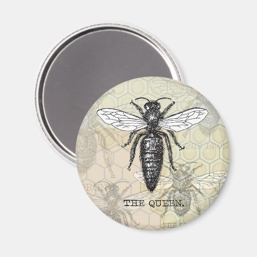 Queen Bee Illustration Bug Insect Magnet (Vorderseite/Rückseite)