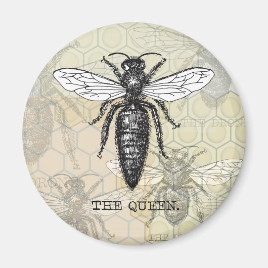 Queen Bee Illustration Bug Insect Magnet (Vorne)