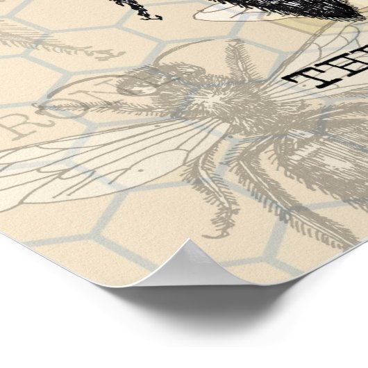 Queen Bee Illustration Bug Insect Poster (Ecke)