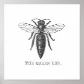 Queen Bee Illustration Bug Insect Poster (Vorne)