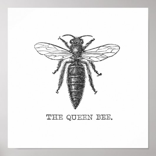 Queen Bee Illustration Bug Insect Poster (Vorne)