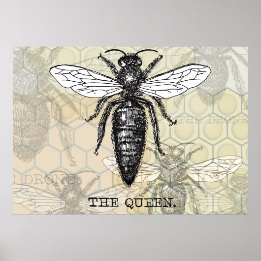 Queen Bee Illustration Bug Insect Poster (Vorne)