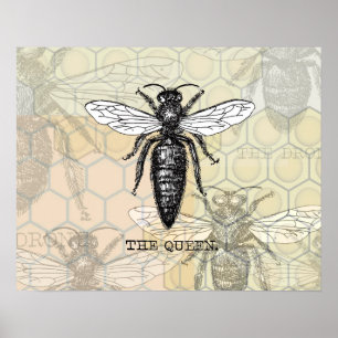 Queen Bee Illustration Bug Insect Poster
