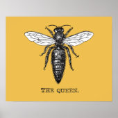 Queen Bee Illustration Bug Insect Poster (Vorne)