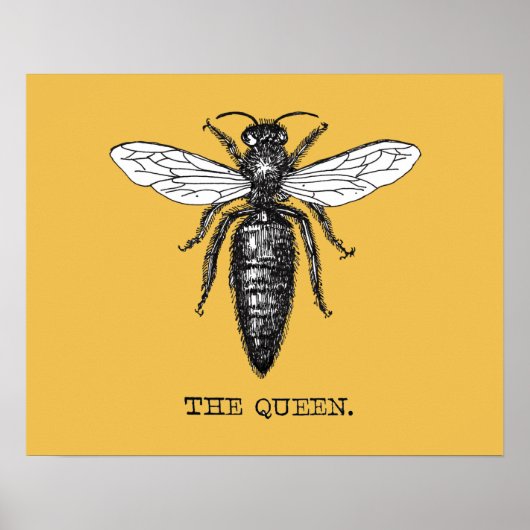 Queen Bee Illustration Bug Insect Poster (Vorne)