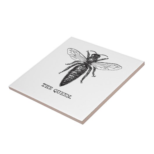Queen Bee Illustration Classic Zeichnend Fliese (Seite)