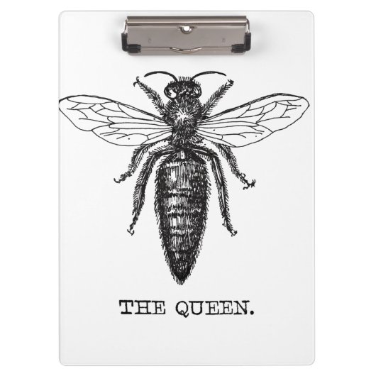 Queen Bee Illustration Classic Zeichnend Klemmbrett (Vorderseite)