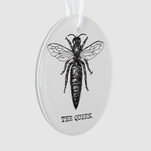 Queen Bee Illustration Classic Zeichnend Ornament (Vorderseite)