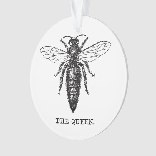 Queen Bee Illustration Classic Zeichnend Ornament (Vorderseite)