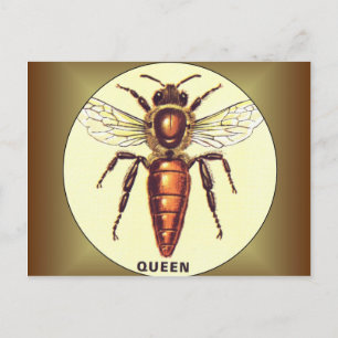 Queen Bee Postkarte
