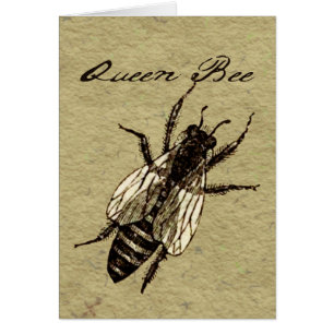Queen Bee Wildlife Bug Insect