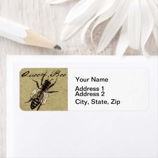 Queen Bee Wildlife Bug Insect (Insitu)