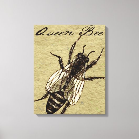 Queen Bee Wildlife Bug Insect Leinwanddruck (Vorderseite)
