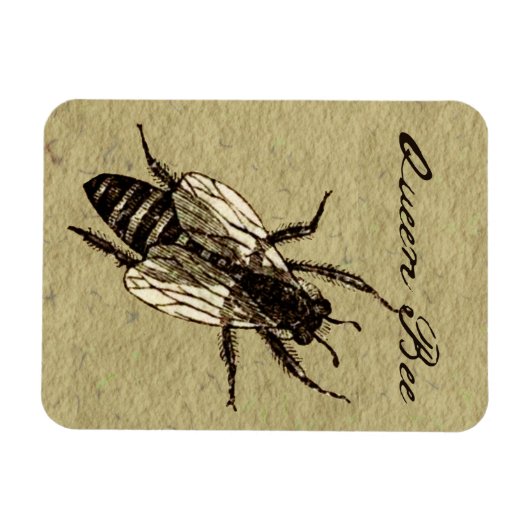 Queen Bee Wildlife Bug Insect Magnet (Horizontal)