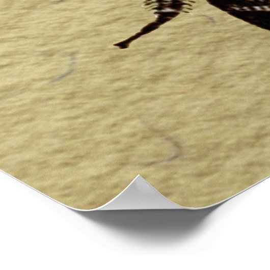 Queen Bee Wildlife Bug Insect Poster (Ecke)