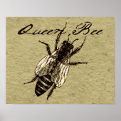 Queen Bee Wildlife Bug Insect Poster (Vorne)