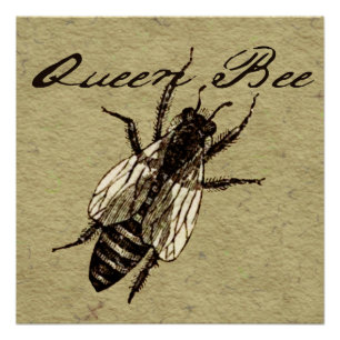 Queen Bee Wildlife Bug Insect Poster